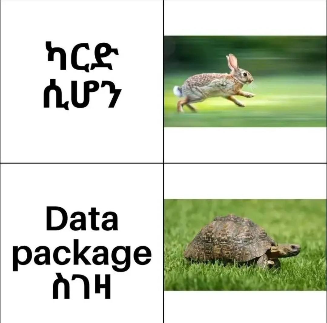 a rabbit running through the grass